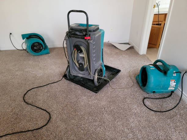 Best Flooded house restoration  in Morn, GA