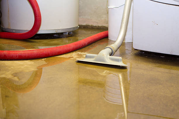 Best Basement water damage restoration  in Morn, GA