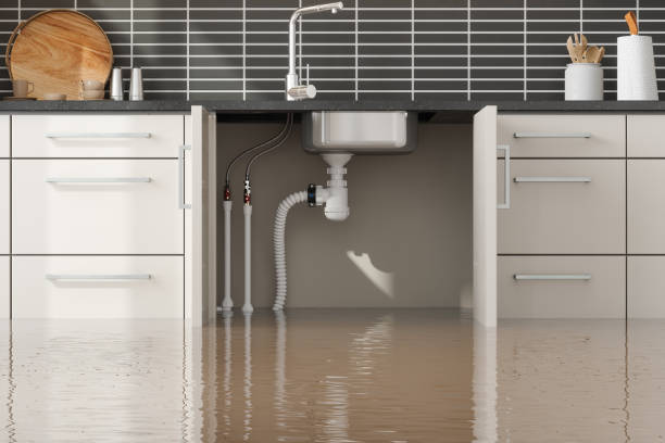 Best Water damage contractors near me  in Morn, GA