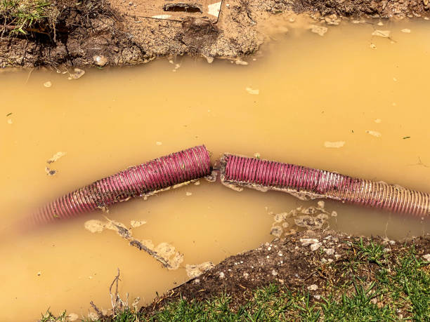 Best 24/7 water damage repair  in Morn, GA